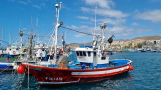 2024-02-Puerto de Arguineguin-13.jpg
